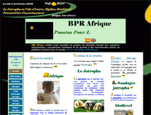 Tablet Screenshot of bpr-afrique.com